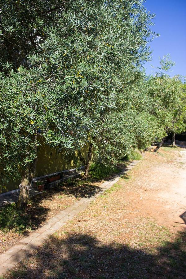 Bilini Garden Apartment Pula Extérieur photo